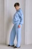 Блакитний костюм для вагітних та годуючих мам 2521(2320) 1180